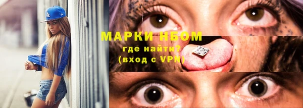винт Инта