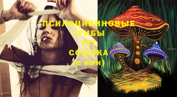 мяу мяу мука Каменногорск