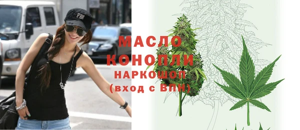 винт Инта