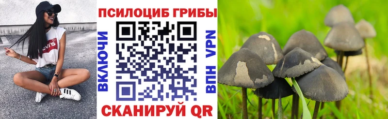 Псилоцибиновые грибы MAGIC MUSHROOMS  Купить закладки  Сатка 